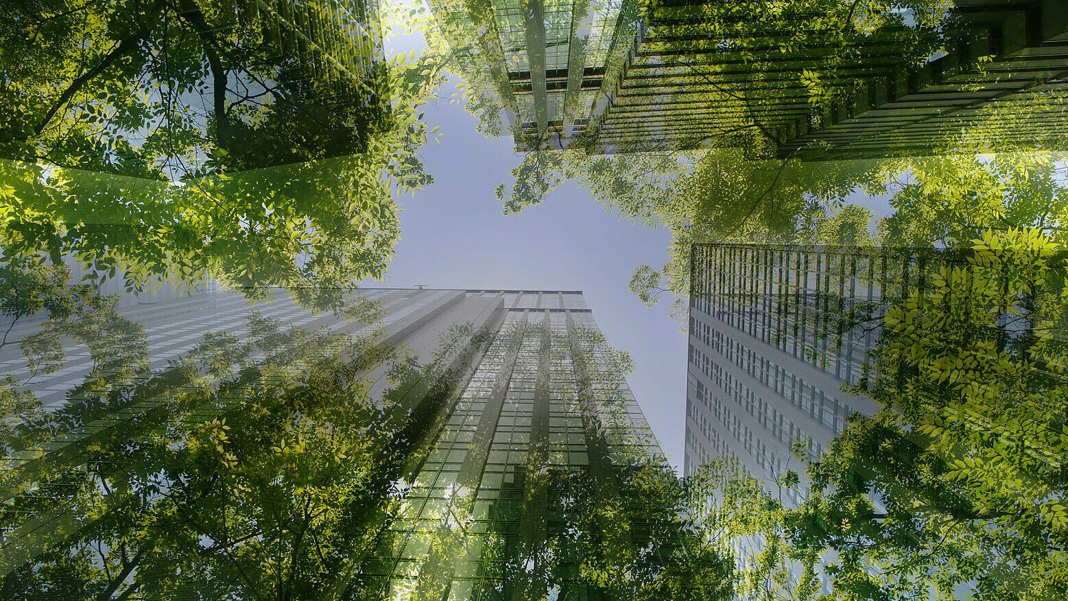 Nachhaltige Technologieentwicklung bei Silver Atena – moderne Gebäude und grüne Bäume